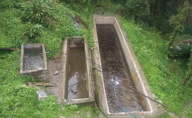 Concrete ponds for rainbow trout