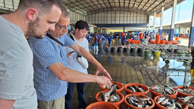 A few people ispecting fish at a fish market in Asia.