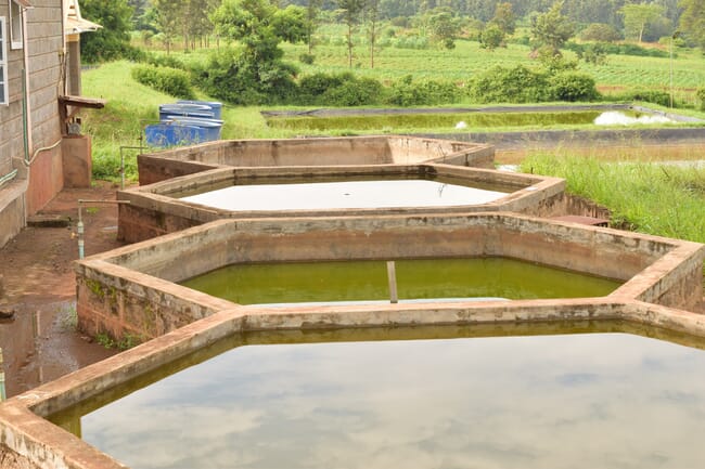 Concrete fish tanks.