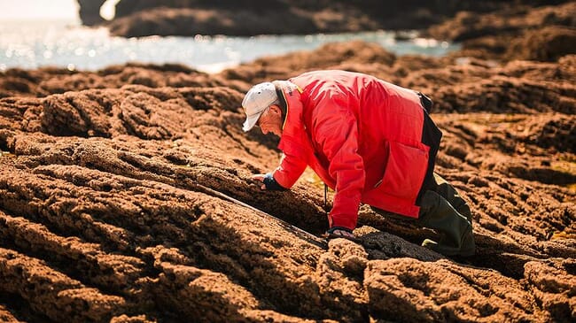 A man observing rocky shores.
