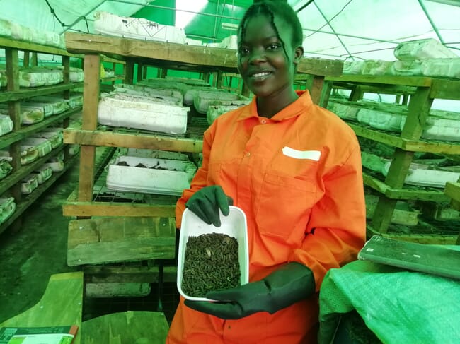 Woman holding insect larvae
