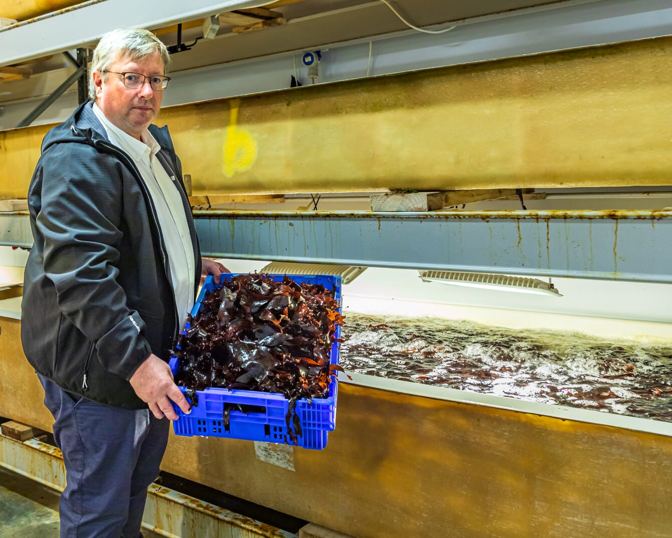A man holding a basket of seaweed.