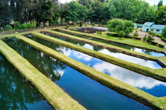 A fish farm from above.