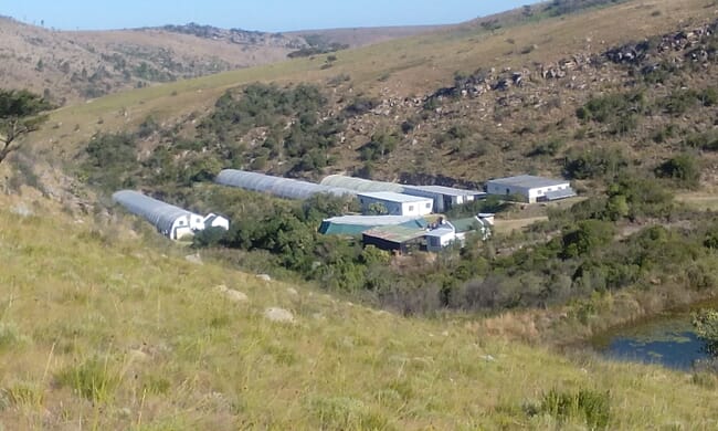 Rivendell aquaculture hatchery.