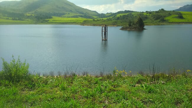 Tea plantation in South Africa