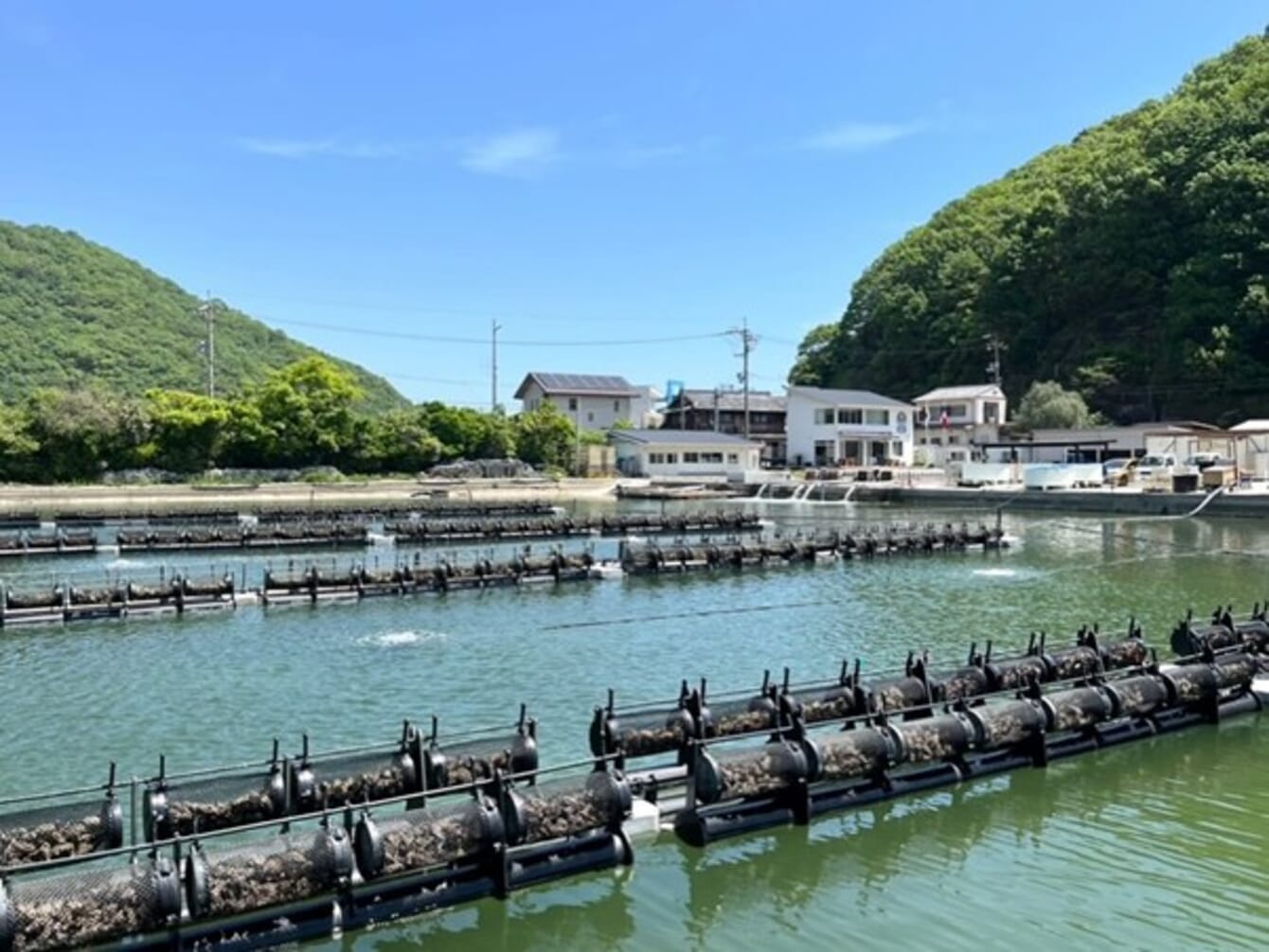 A high tech oyster farm in Japan