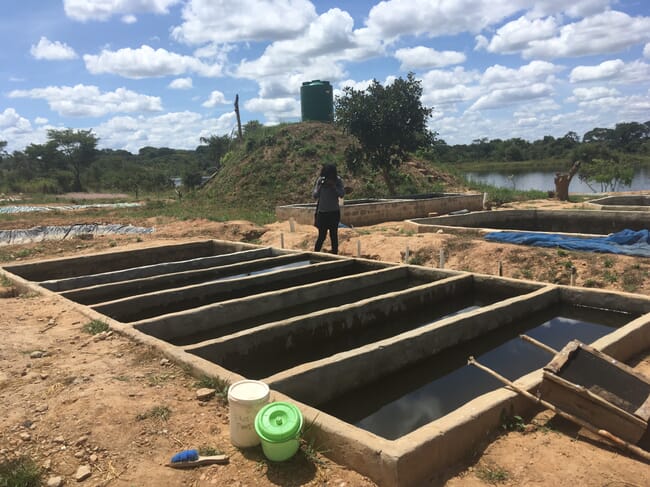 Person standing at the edge of concrete raceways, half filled with water