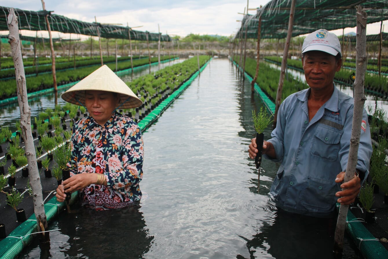 Two farmers in a pond.