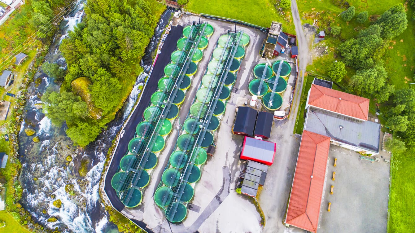 Aerial view of a land-based fish farm beside a river.