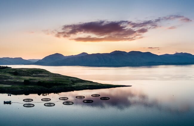 Scottish salmon farm.