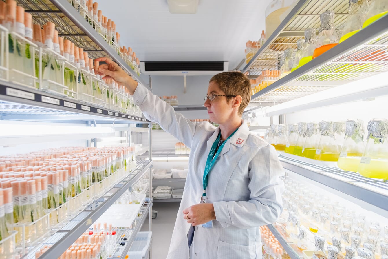 A person in a room full of jars containing seaweed samples.