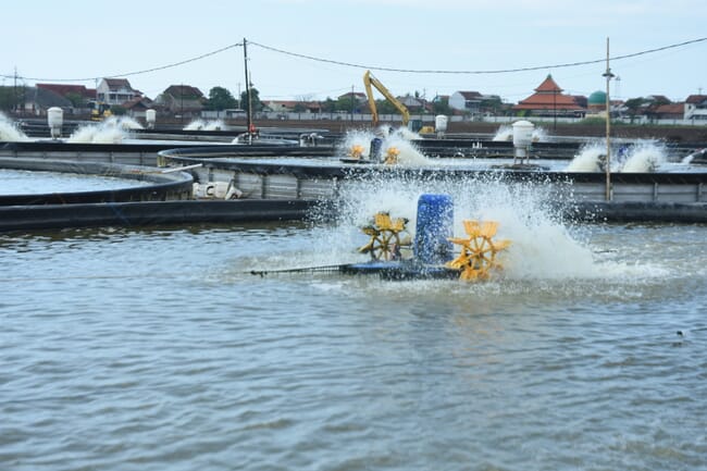 paddle aerator running in a shrimp pond