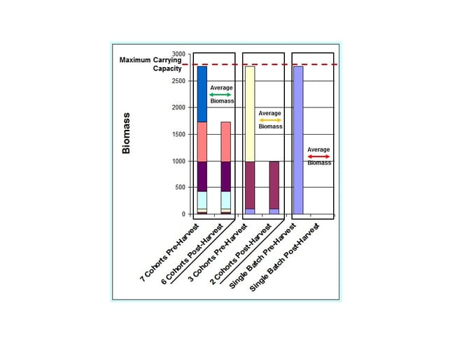 An illustration of the relationship between the number of partitioned, segregated size classes present and the average biomass within a production system