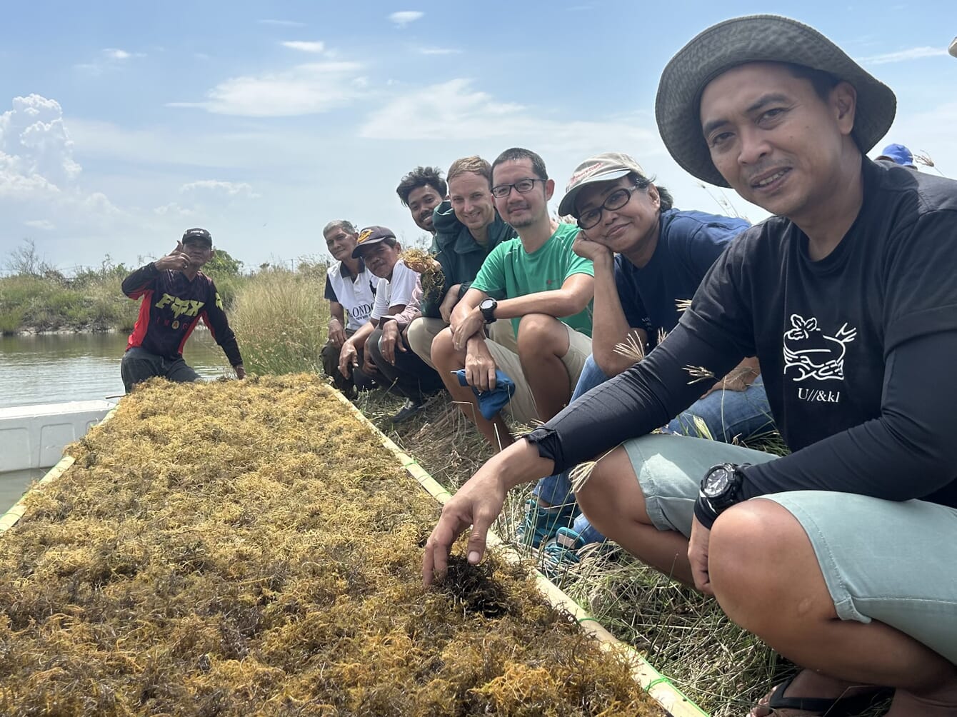 A group of people squatting alongside harvested seaweed