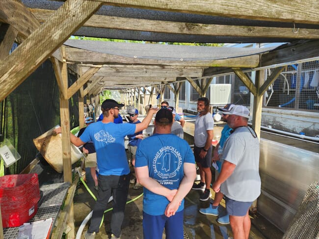 A group of people learning about oyster aquaculture.