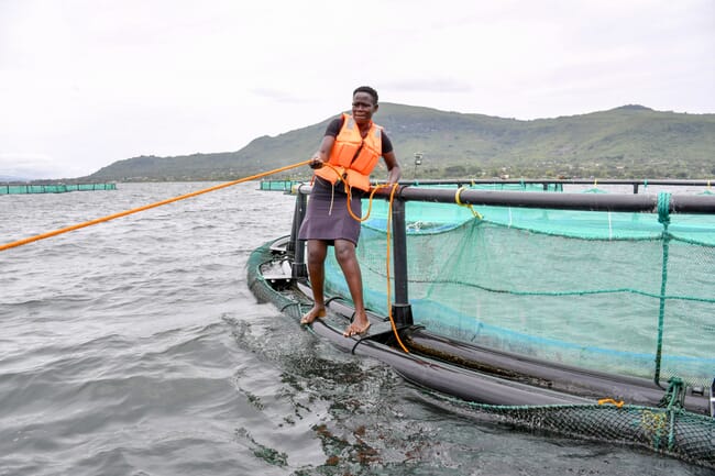 Farm worker at Lake View Fisheries.