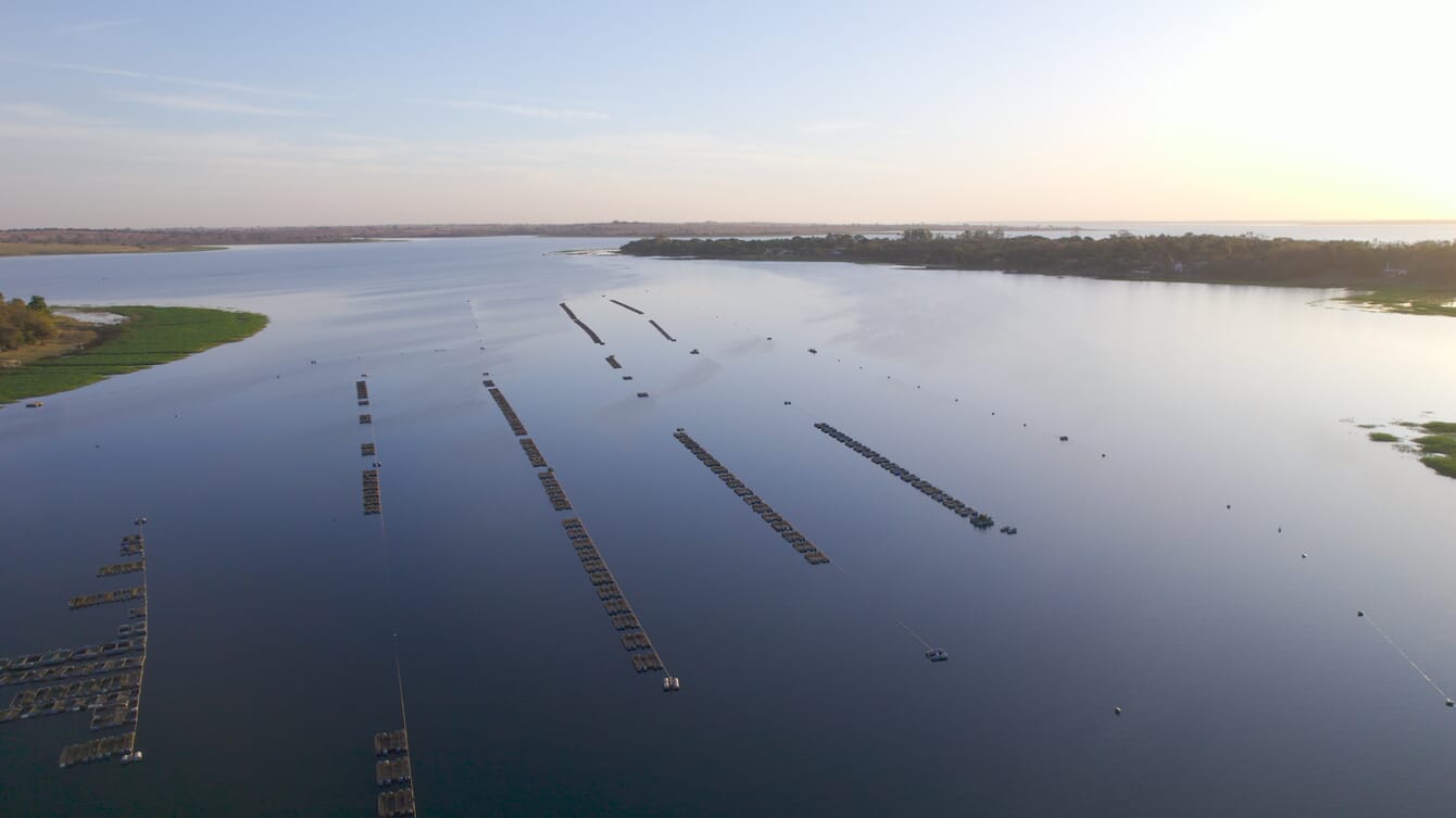 Aerial view of fish cages on a large lake.