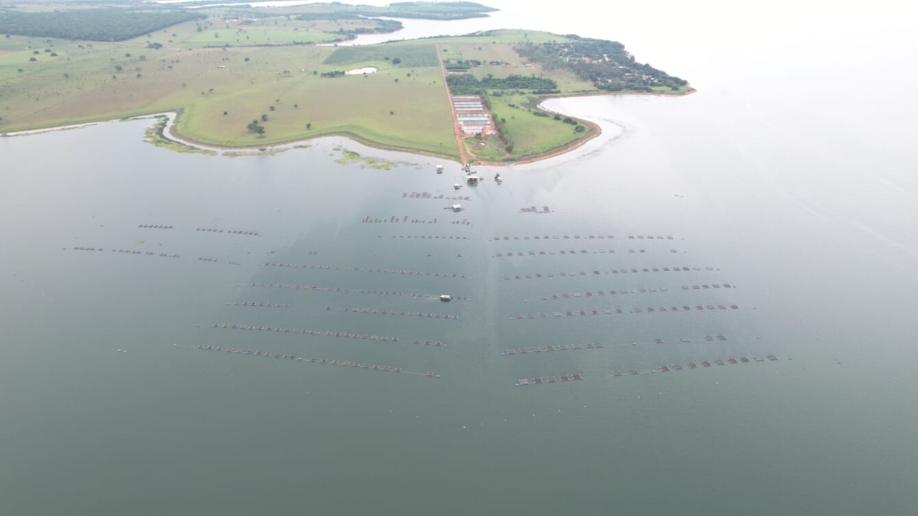 Aerial photo of a fish farm in a large lake.