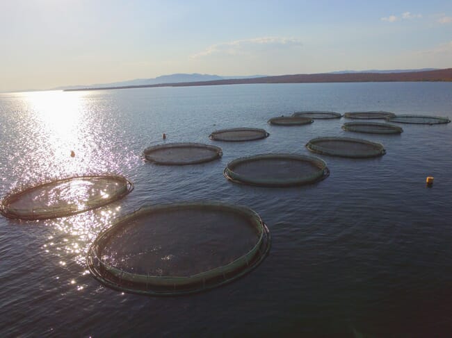 fish cages in a lake