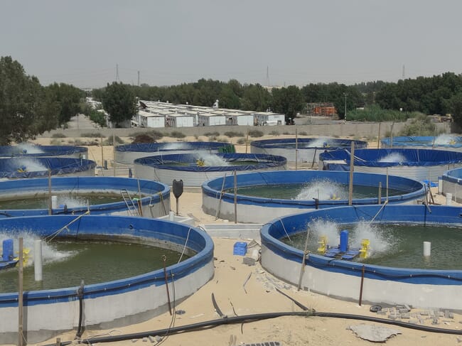 A fish farm.