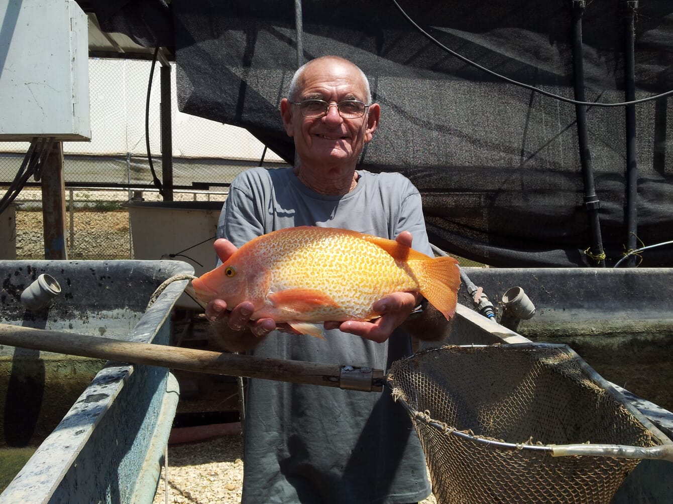 A man holding a large orange fish.