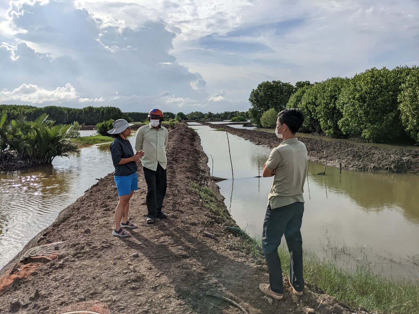 A shrimp farm in Tra Vinh province.