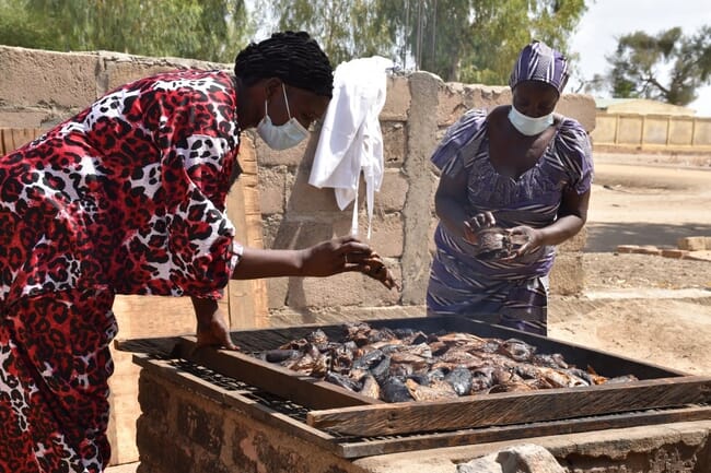 person drying fish