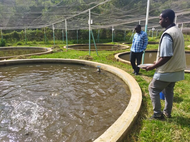 people standing by concrete fish ponds