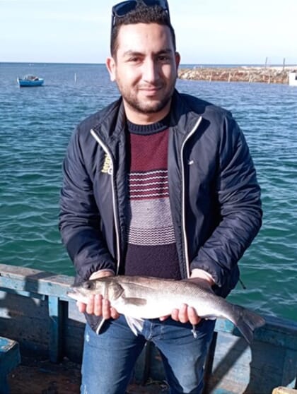 Houssem Sghaier headshot