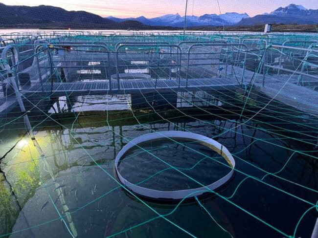 A salmon cage at night.