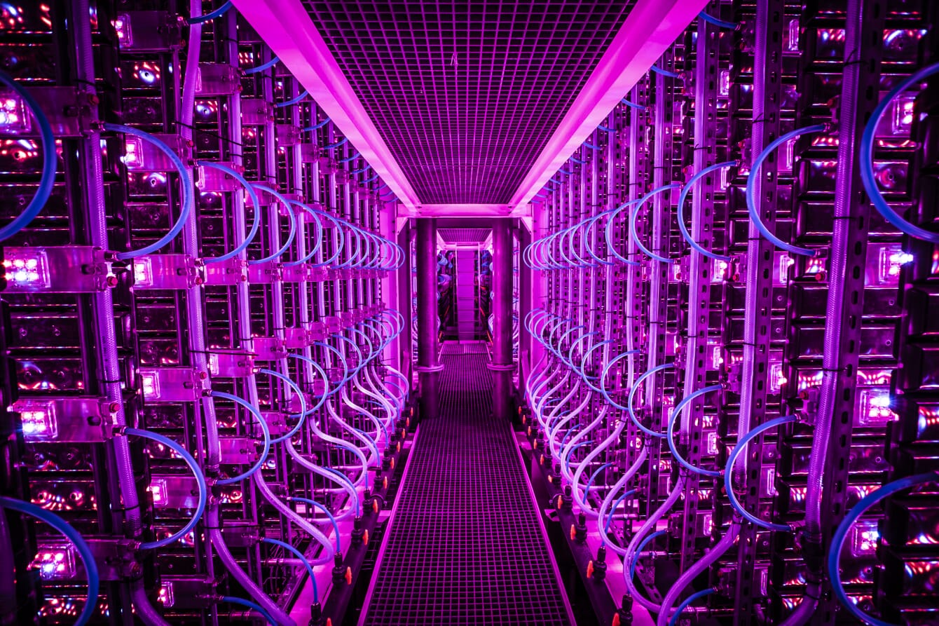 Inside a bioreactor designed to produce microalgae.