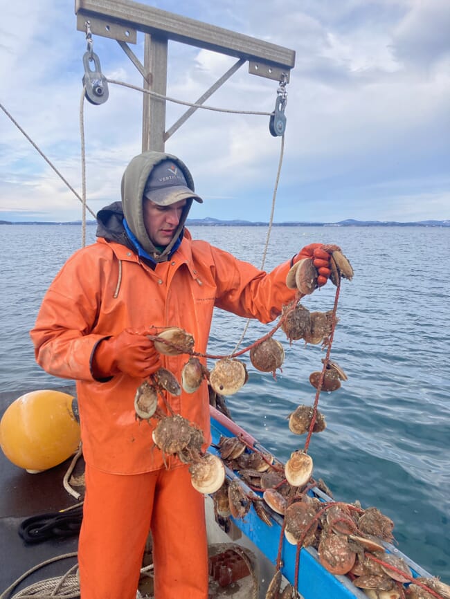 A man holding a string of scallops.