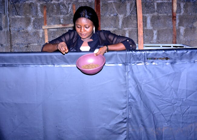 Victoria Emmanuel at a fish tank