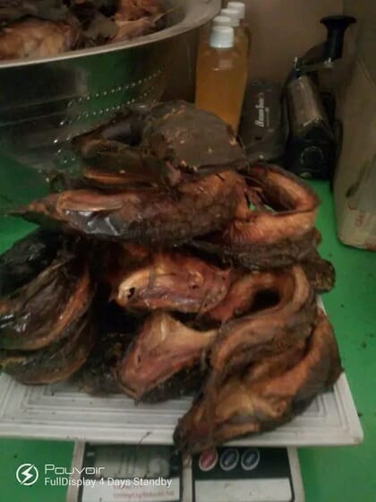 smoked catfish