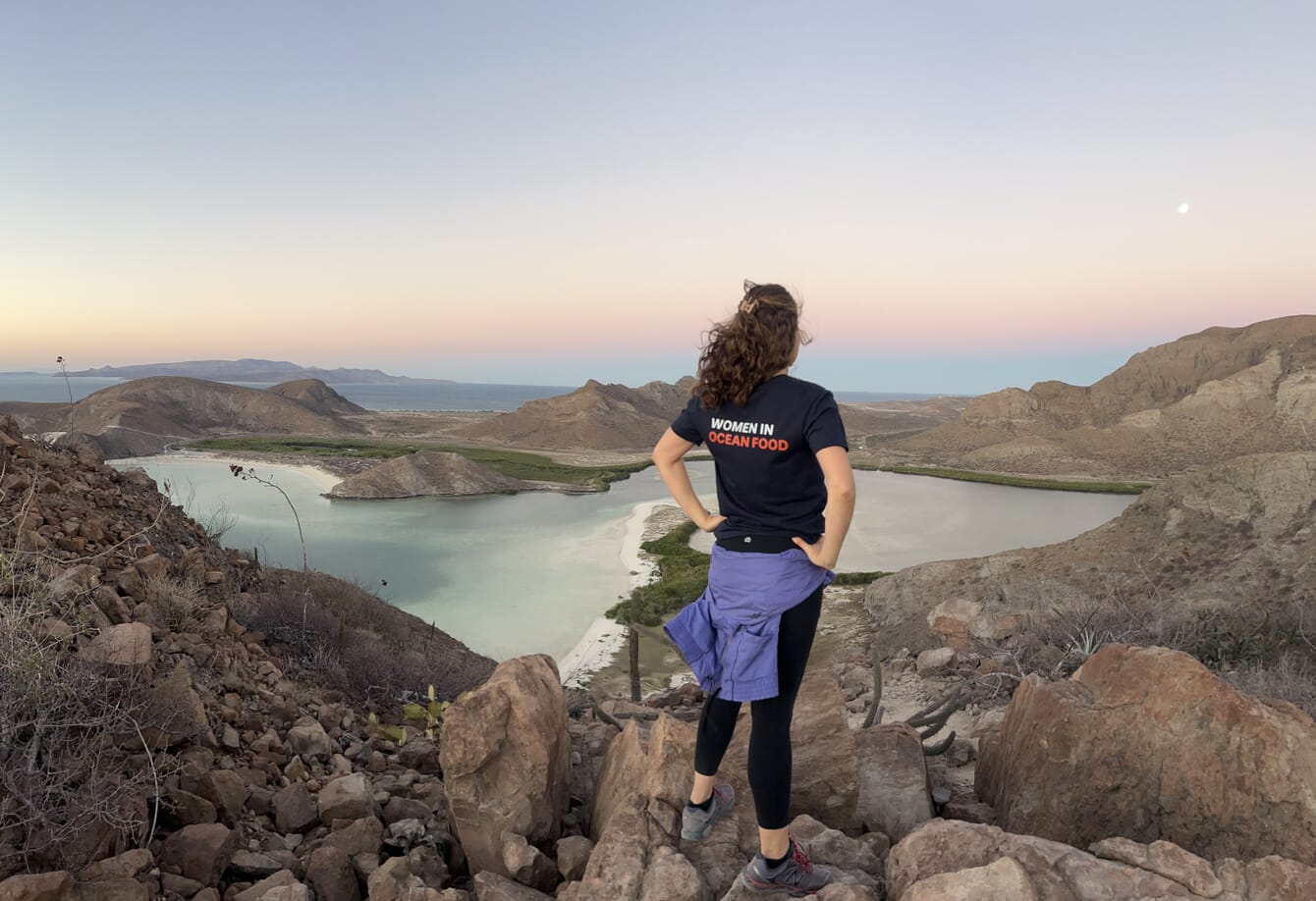 A person looking out at the view from the top of a mountain.