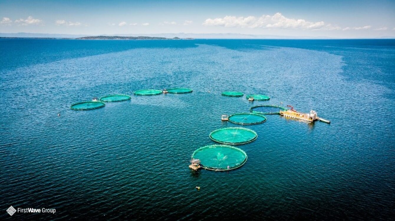 Aerial view of fish cages in a giant lake.