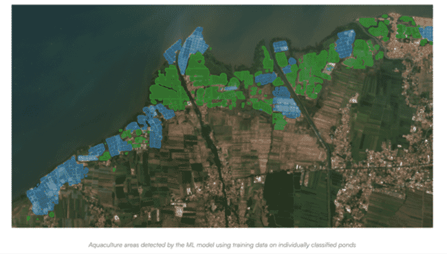 A satellite view of shrimp ponds.