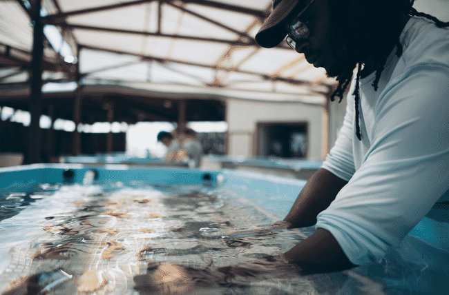 A man with his hands in a water tank.
