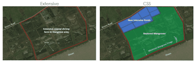 An illustration showing two contrasting approaches to shrimp farming.