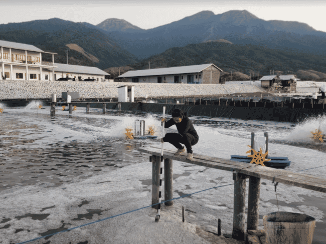 Testing the water quality at a shrimp pond