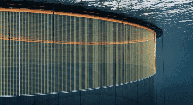 An electric guard for a fish pen.