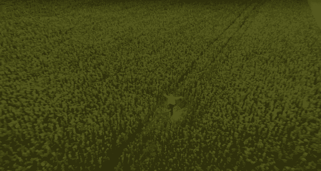 Aerial footage of a man standing in a field with his arms outstretched.