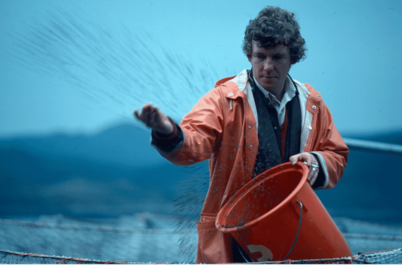 A man throwing fish feed out of a bucket.