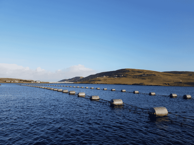 A line of floats on the sea.