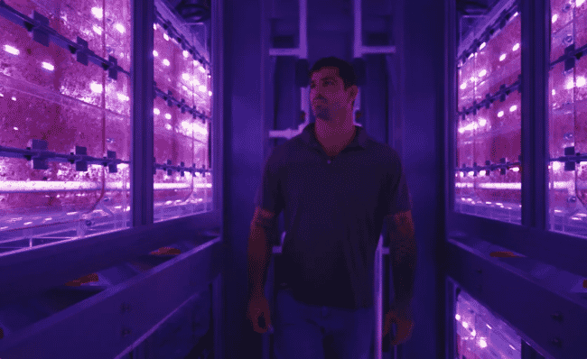 A man standing near biorectors for growing seaweed.