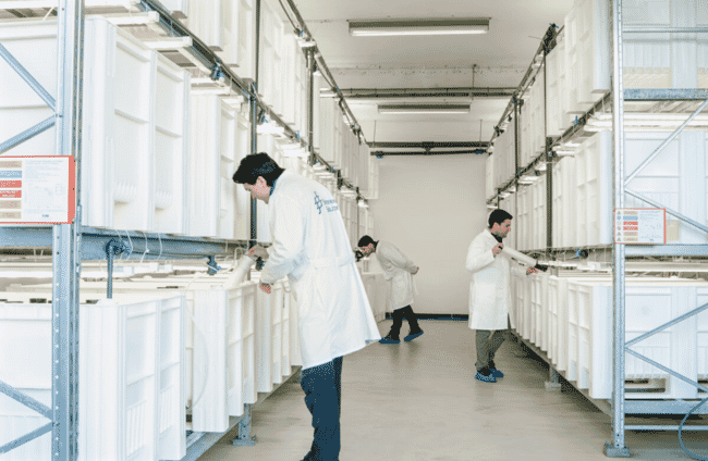 Researchers in a lab.