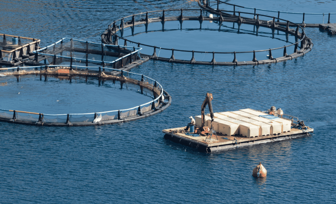 An aerial view of a fish farm in Scotland.