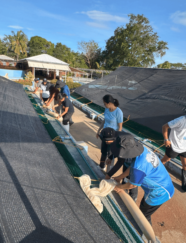 People working in a fish hatchery.