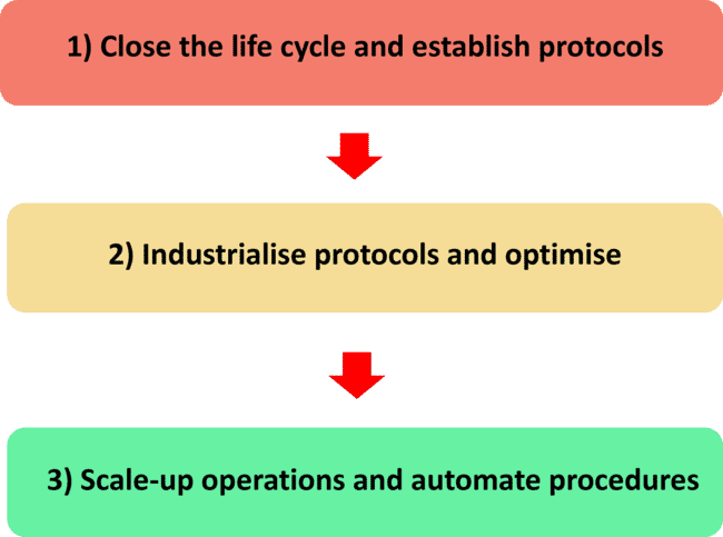 Three steps to establish a reliable seedling supply.