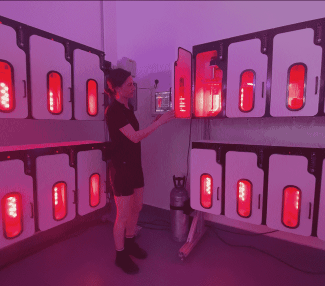 Seaweed bioreactors.